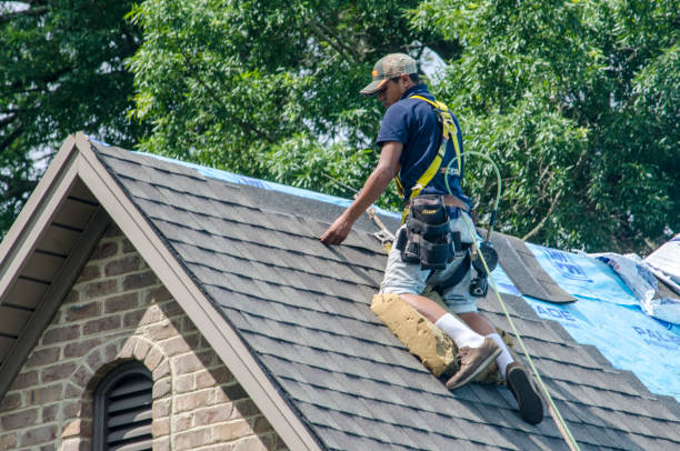 Roof Gutter Cleaning in Cologne, NJ